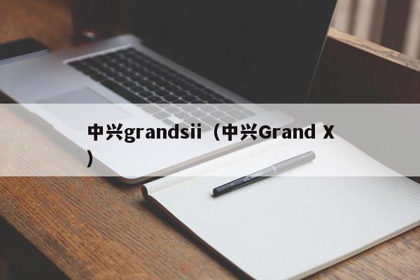 中兴grandsii（中兴Grand X）