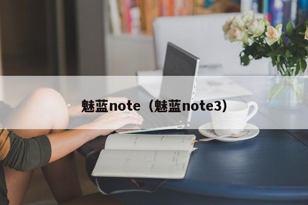 魅蓝note（魅蓝note3）