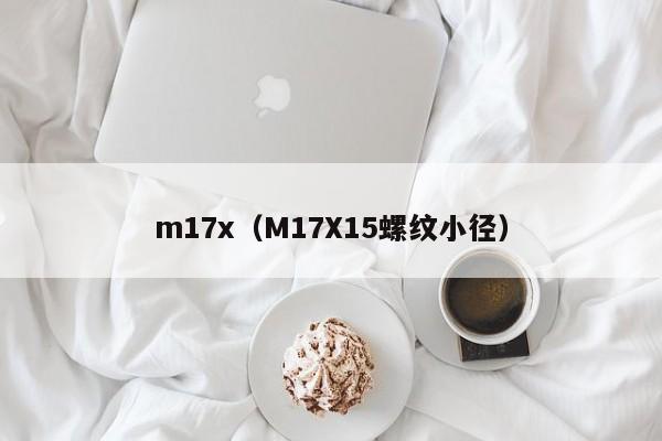 m17x（M17X15螺纹小径）